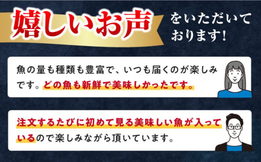 対馬産 旬の地魚 干物 5種 セット《対馬市》【対海】冷凍 肉厚 新鮮 直送 旬 海鮮 ひもの 朝食 イカ サバ [WAH024]