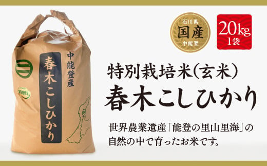 米 特別栽培米 春木 コシヒカリ 玄米 20kg [農業組合法人能登やまびこ 石川県 中能登町 27af0001] こしひかり ご飯 ごはん コメ こめ