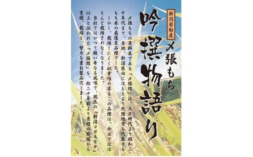 B4044 【令和6年産米】自然豊かな風土が育んだ新潟県岩船産 コシヒカリ 5kgと杵つき黄金もちセット