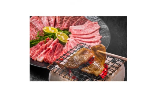 2023年4月発送開始『定期便』博多和牛A5焼き肉用＜厳選部位＞(500g)全6回【5100603】