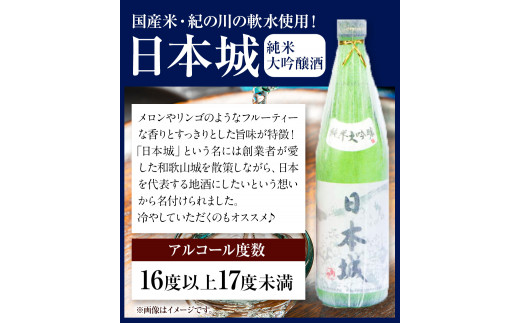 日本城 純米大吟醸酒 純米吟醸酒 根来 飲み比べセット 720ml×2本セット 厳選館《90日以内に出荷予定(土日祝除く)》 和歌山県 日高川町 酒 純米吟醸 飲み比べ 1440ml 純米大吟醸酒 純米吟醸酒