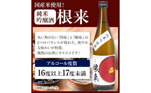 日本城 純米大吟醸酒 純米吟醸酒 根来 飲み比べセット 720ml×2本セット 厳選館《90日以内に出荷予定(土日祝除く)》 和歌山県 日高川町 酒 純米吟醸 飲み比べ 1440ml 純米大吟醸酒 純米吟醸酒