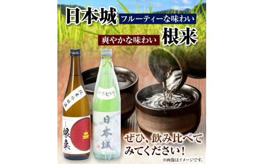 日本城 純米大吟醸酒 純米吟醸酒 根来 飲み比べセット 720ml×2本セット 厳選館《90日以内に出荷予定(土日祝除く)》 和歌山県 日高川町 酒 純米吟醸 飲み比べ 1440ml 純米大吟醸酒 純米吟醸酒