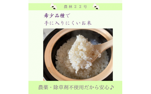 【定期便6回】農薬不使用・除草剤不使用のお米『農林22号』3キロ【7分づき】