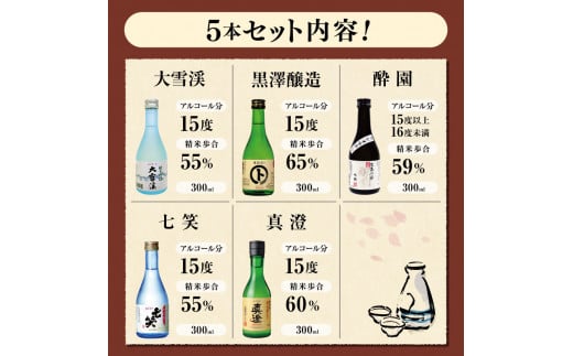 *安曇野松川村 の お米 でできた 日本酒 厳選5本 | 飲み比べ お酒 おさけ 酒 セット 詰め合わせ 飲料 アルコール 地酒 長野県 松川村 信州