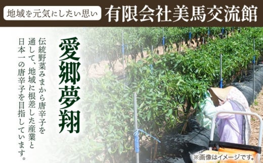 激辛薬味みまから 3袋 90g×3袋 有限会社美馬交流館《30日以内に出荷予定(土日祝除く)》徳島県 美馬市 みまから 漬物 つけもの 送料無料