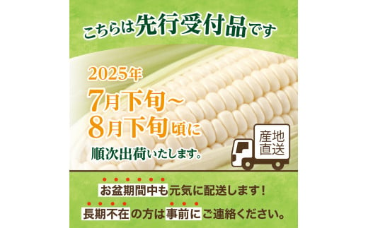 【2025年分先行予約】北海道十勝芽室町　廣田農園の白いスイートコーン10本 me031-001c-25