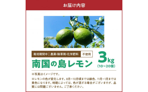 ■【先行受付】 栽培期間中 農薬・除草剤・化学肥料不使用！南国の島レモン3キロ！【8月下旬～1月下旬】　W043-004u