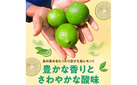 ■【先行受付】 栽培期間中 農薬・除草剤・化学肥料不使用！南国の島レモン3キロ！【8月下旬～1月下旬】　W043-004u