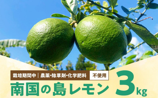 ■【先行受付】 栽培期間中 農薬・除草剤・化学肥料不使用！南国の島レモン3キロ！【8月下旬～1月下旬】　W043-004u