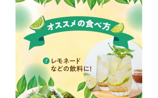 ■【先行受付】 栽培期間中 農薬・除草剤・化学肥料不使用！南国の島レモン3キロ！【8月下旬～1月下旬】　W043-004u