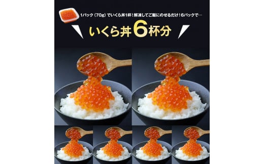 【新物★先行予約】いくら 70g×6パック 漬けダレなしの粒立ついくら 【2024年11月頃より順次出荷】 国産 便利小分け 簡単いくら丼 山本商店【北海道十勝浦幌町厚内産】