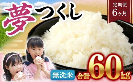 【6回定期便】無洗米 福岡県産 ｢夢つくし｣ 10kg(5kg×2袋)×6回 合計60kg