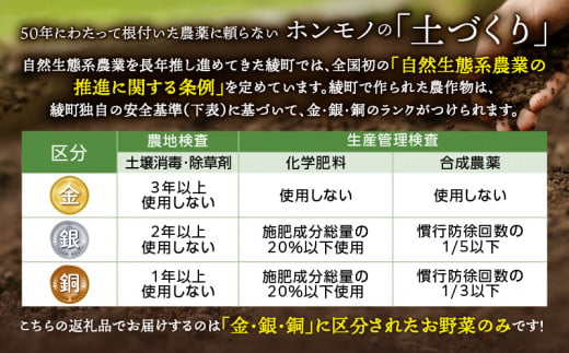 日時指定可能！旬のお野菜セット（サイズ小）