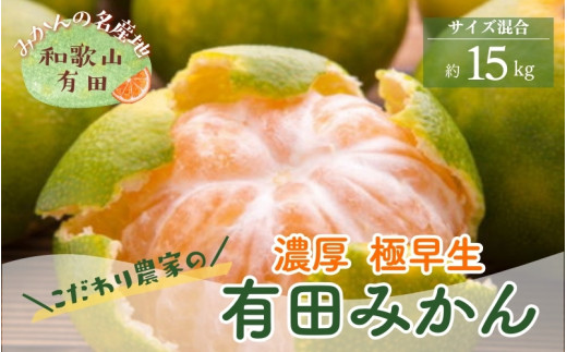 ＜10月上旬～＞【産地直送】濃厚 極早生 有田みかん 15kg  ※2024年10月中旬～10月下旬頃に順次発送予定 ※着日指定不可【ard073B】