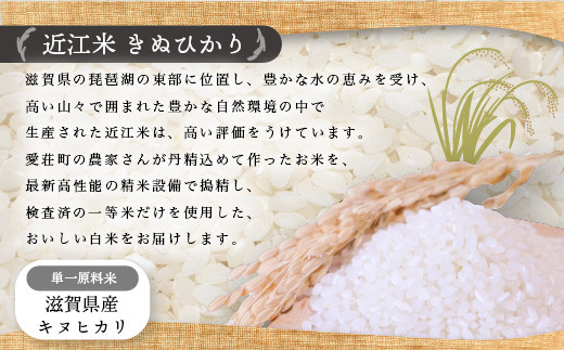 近江米　きぬひかり　白米10㎏ 令和6年産  BD02	