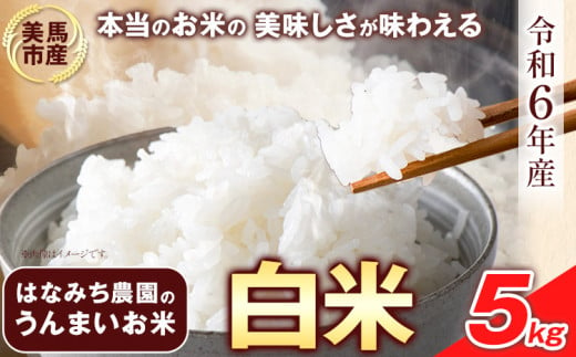 はなみち農園のうんまいお米・白米 令和6年産 5kg 《30日以内に出荷予定(土日祝除く)》 白米 美馬市産 実森ラボラトリー株式会社 自家製小麦のお店mimori　送料無料 徳島県 美馬市