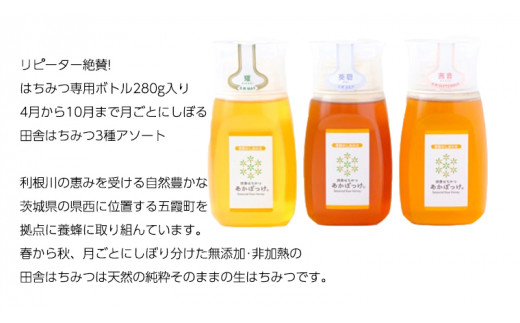 季節で移ろう 田舎 はちみつ ボトル 3種 セット [ピタッとボトルB3] 【茨城県共通返礼品／五霞町】   280g×3 ボトル 生ハチミツ 非加熱 国産 国産はちみつ ハチミツ 茨城県産 [BS008sa]