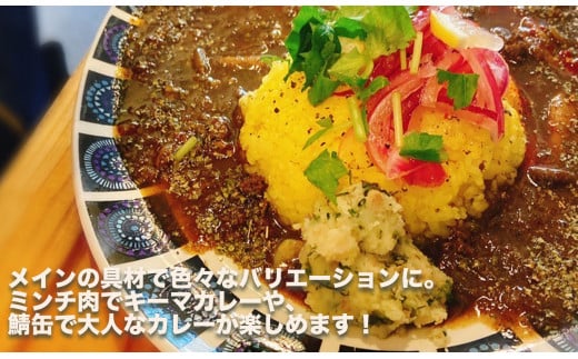 スパイスカレーが簡単に作れるキット （KANTAN spice SET）