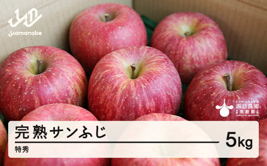 《先行予約》2024年 山形県産 完熟 サンふじ りんご 特秀品 5kg 14～20個 2024年12月上旬から順次発送 リンゴ フルーツ F20A-903