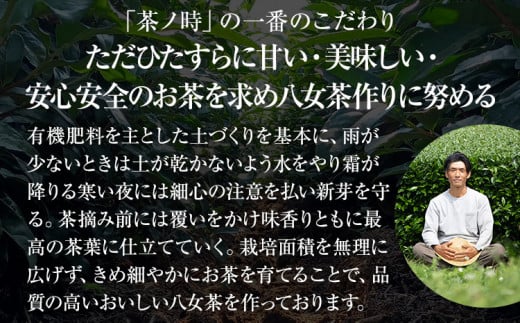 原田茶園 八女茶パウダー 160g 2袋（80g×2） 八女茶100% 微粉末 パウダー 緑茶 ドリンク お菓子作り 緑茶ドリンク チャック付き袋 チャック付 スイーツ作り