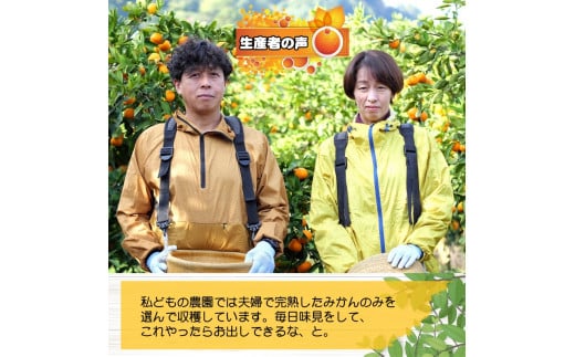 ▼久幸園 完熟 清見オレンジ  7kg (サイズ混合)   ※4月上旬より順次発送予定 【hsk009-r-7A】