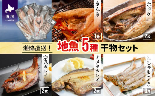 地元漁協おすすめ！獲れたての鮮魚を天日干しで仕上げた干物のセットです。※画像はイメージです。