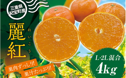 L-2L サイズ混合 萩野農園の麗紅(れいこう) 4kg 【2025年1月末から2月末までに順次発送致します。】 /  くだもの フルーツ 果物 みかん ミカン 蜜柑 れいこう 麗紅