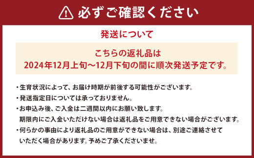 山形県産 りんご ふじ 約5kg 秀品 