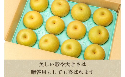 「天果糖逸（てんかとういつ）」 新潟県産和梨 あきづき 約5kg（8～10玉）《9月中旬〜配送予定》 果物 フルーツ 冬の味覚 産地直送 加茂市 えちご中越農業協同組合