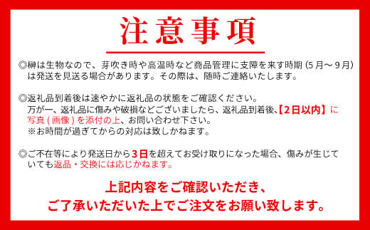 【3ヶ月連続お届け定期便】神棚用 国産榊（さかき） 2束 お供え お祀り 国産 天然 新鮮 長持ち 天然榊 11000円