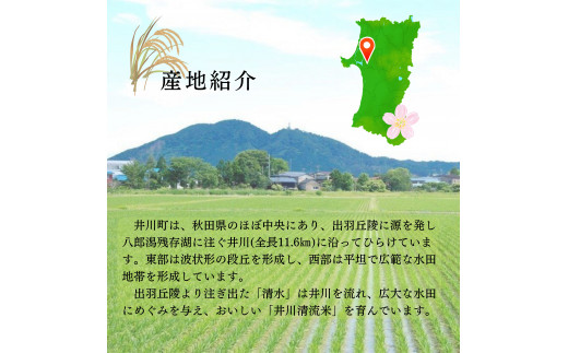 【令和6年産】秋田県井川町産あきたこまち玄米10㎏　つかまファーム