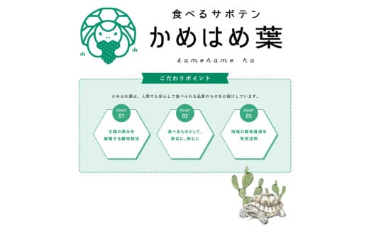 あなたのカメに、自然のごちそうを。食べるサボテン「かめはめ葉」（3㎏）