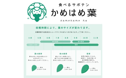 あなたのカメに、自然のごちそうを。食べるサボテン「かめはめ葉」（3㎏）