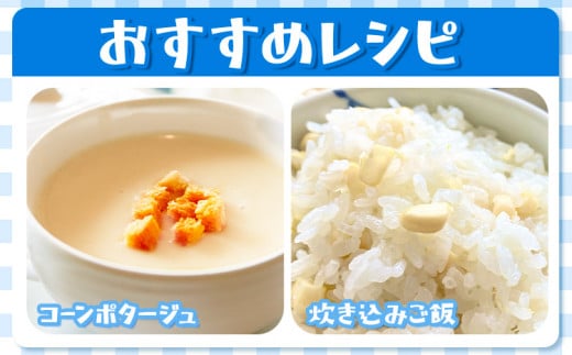 来年分先行予約 受付中 とうもろこし ホワイトコーン 「 なよろホワイト 」 8.5kg 以上 20～22本【2025年8月上旬-9月中旬頃出荷】  特大 サイズ北海道 朝採り 真空予冷 冷蔵 高糖度 ピュアホワイト トウモロコシ ギフト お中元 コーン