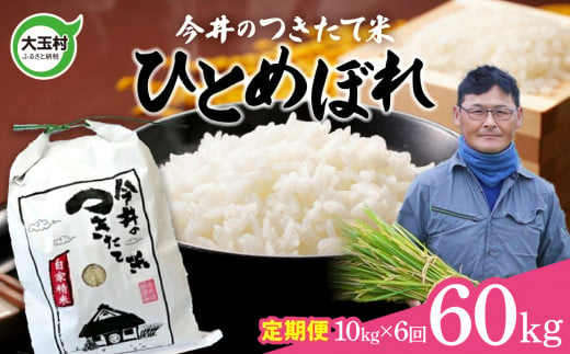  【 令和6年産】【 今井のつきたて米 】  ひとめぼれ 60ｋｇ （ 毎月 10ｋｇ × 6回 ）【OT08-017-R6】