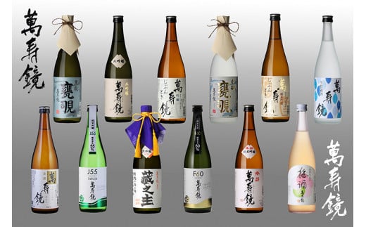 萬寿鏡 12種類飲み比べセット 720ml ×12本 厳選 大吟醸 純米吟醸 吟醸酒 本醸造 生貯蔵 梅酒 お酒 飲み比べ 日本酒 地酒 大吟醸 純米吟醸 贈答にも 加茂市 マスカガミ