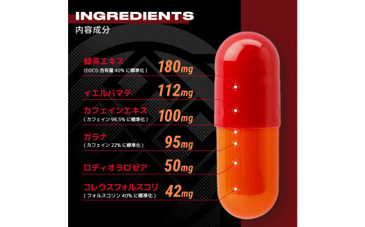 HALEO イグナイト(IGNITE) 180カプセル×2本セット 1回分の摂取量 2カプセル 180回分 化粧箱入り