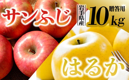 【先行予約】令和6年産 りんご サンふじ×はるか 贈答用 10kg（計32個程度） 岩手県 金ケ崎町産 12月上旬発送予定