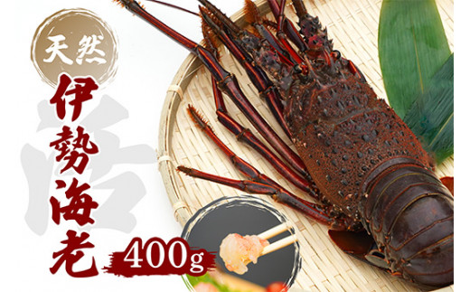 産地直送！＜生＞伊勢海老（レシピ付き）400g