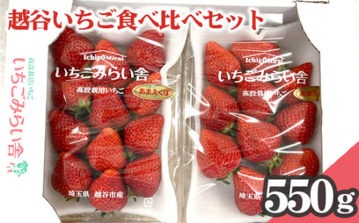 No.151 越谷いちご食べ比べセット　550g ／ イチゴ 苺 果物 フルーツ 埼玉県 特産品