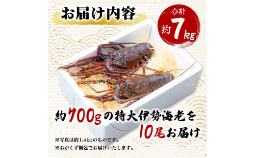 伊勢海老 特大 約7kg 約700g×10尾 伊勢えび 伊勢エビ いせえび イセエビ 海老 えび エビ 海鮮 海産物 海の幸 おせち 高級 国産 海鮮 ギフト