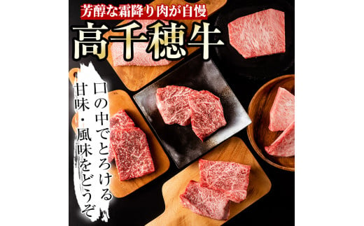 ＜定期便・6回(連続)＞高千穂牛・定期便(6ヶ月)国産 宮崎県産 宮崎牛 牛肉 イチボ ランプ モモ サーロイン ステーキ A4 和牛【MT008】【JAみやざき 高千穂牛ミートセンター】