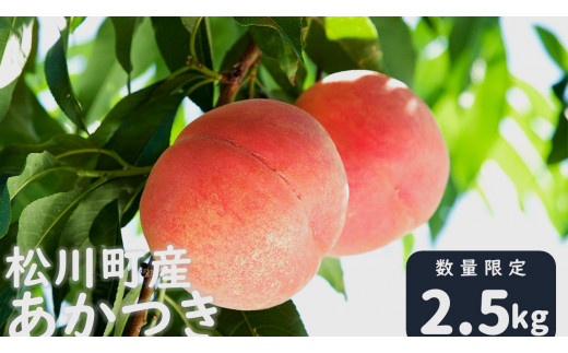 松川町産あかつき贈答用　約2.5kg（6～10玉）