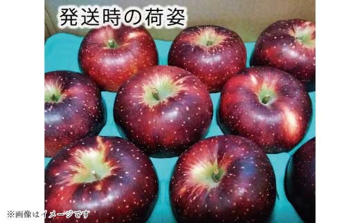 [No.5657-3507]【先行予約】2024年産【秀品】秋映 約3kg（約7～12玉）《遠山農園》■2024年発送■※9月下旬頃～10月下旬頃まで順次発送予定