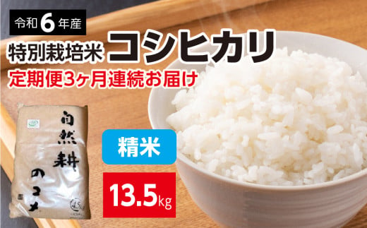 新米【定期便】令和六年産特別栽培米コシヒカリ4.5kg 精米 「3ヶ月連続お届け」定期便 合計13.5kg 精米 お米 ブランド米 ライス 炭水化物 ご飯 主食 食卓 おにぎり お弁当 ミネラル米 こしひかり ごはん こめ コメ 産地直送 国産 茨城県産 常総市 運動会 アウトドア キャンプ