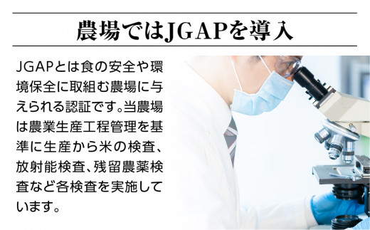 新米【定期便】令和六年産特別栽培米コシヒカリ4.5kg 精米 「3ヶ月連続お届け」定期便 合計13.5kg 精米 お米 ブランド米 ライス 炭水化物 ご飯 主食 食卓 おにぎり お弁当 ミネラル米 こしひかり ごはん こめ コメ 産地直送 国産 茨城県産 常総市 運動会 アウトドア キャンプ