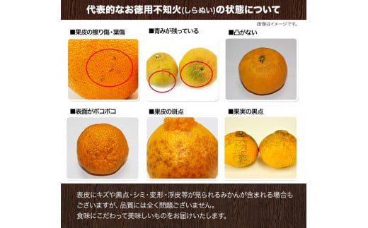 完熟 不知火 ( デコポン )と同品種 約10kg S～2L 家庭用 サイズ混合 横川果樹園 《3月中旬-4月末頃出荷》 和歌山県 日高川町 不知火 みかん 果物 柑橘 フルーツ 送料無料