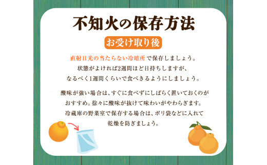 完熟 不知火 ( デコポン )と同品種 約10kg S～2L 家庭用 サイズ混合 横川果樹園 《3月中旬-4月末頃出荷》 和歌山県 日高川町 不知火 みかん 果物 柑橘 フルーツ 送料無料