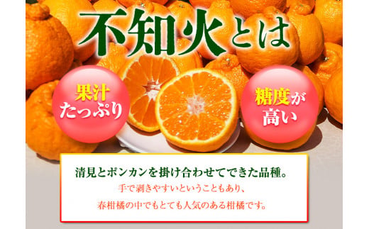 完熟 不知火 ( デコポン )と同品種 約10kg S～2L 家庭用 サイズ混合 横川果樹園 《3月中旬-4月末頃出荷》 和歌山県 日高川町 不知火 みかん 果物 柑橘 フルーツ 送料無料